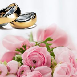 wedding-rings-251590_960_720